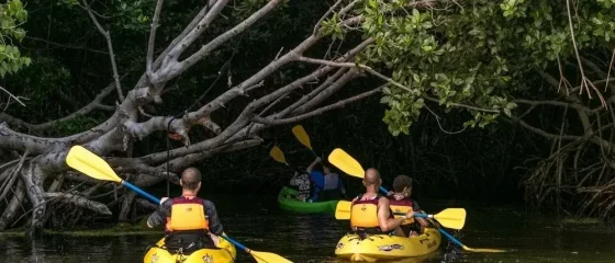 Bio Bay Tour Fajardo